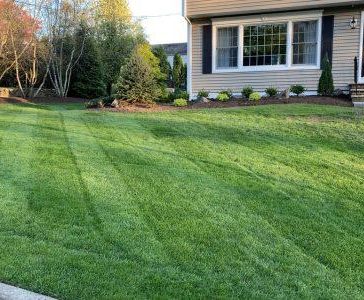 New-Lawns-Lawn-Renovations-r14ehhtcyg97xzx48yrid69klqz6qxhinj9yjh0a7s